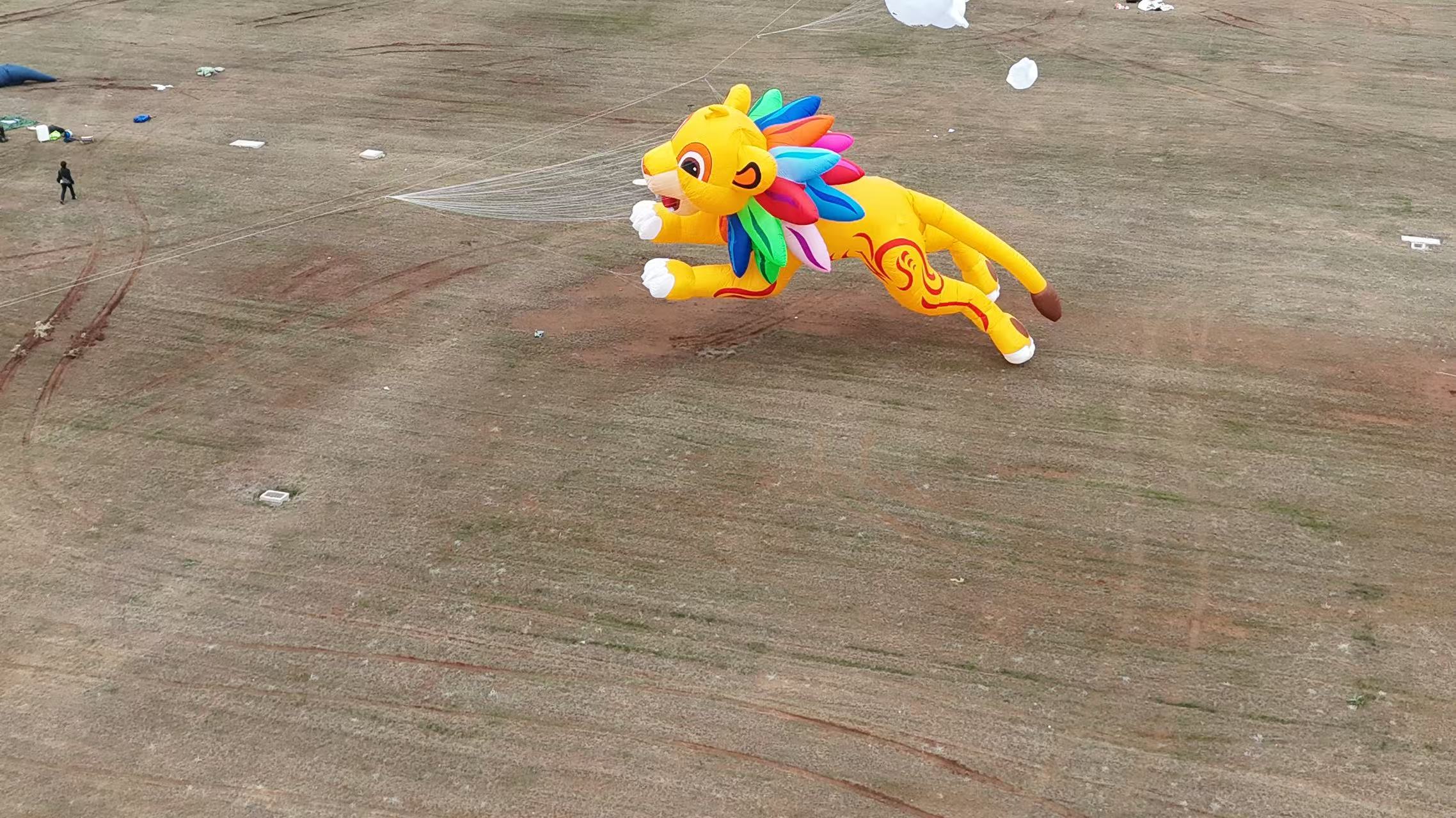 南通市品牌风筝定制软体风筝定制 - 哪里好