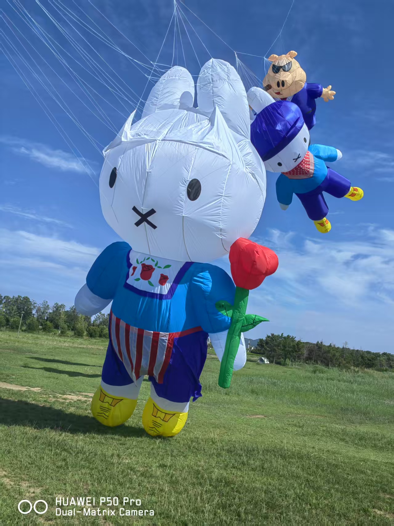 南通市儿童风筝定制风筝批发 - 方案
